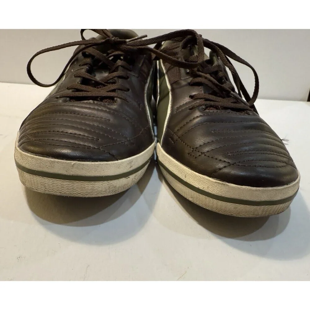 Puma momentta vulc